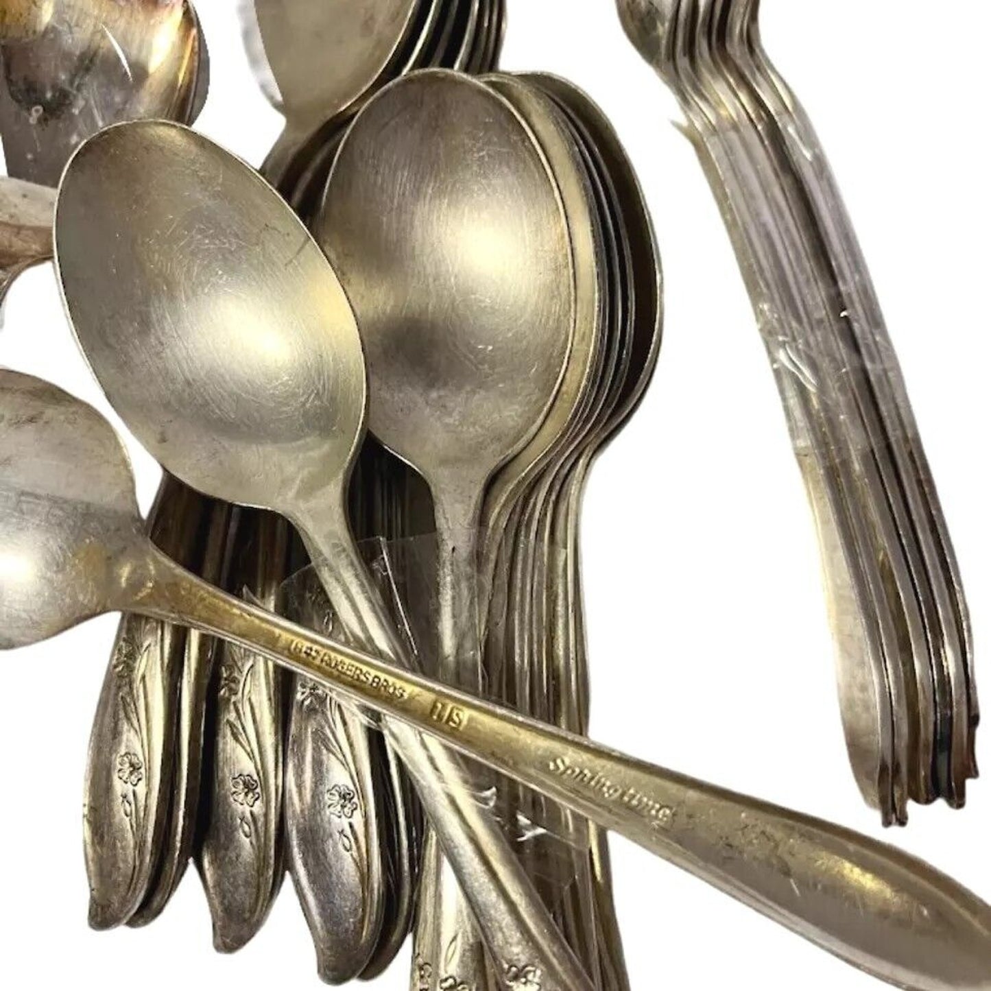 Rogers Bros Spring Time Antique Silver Plate Flatware Tableware Spoons Forks Lot