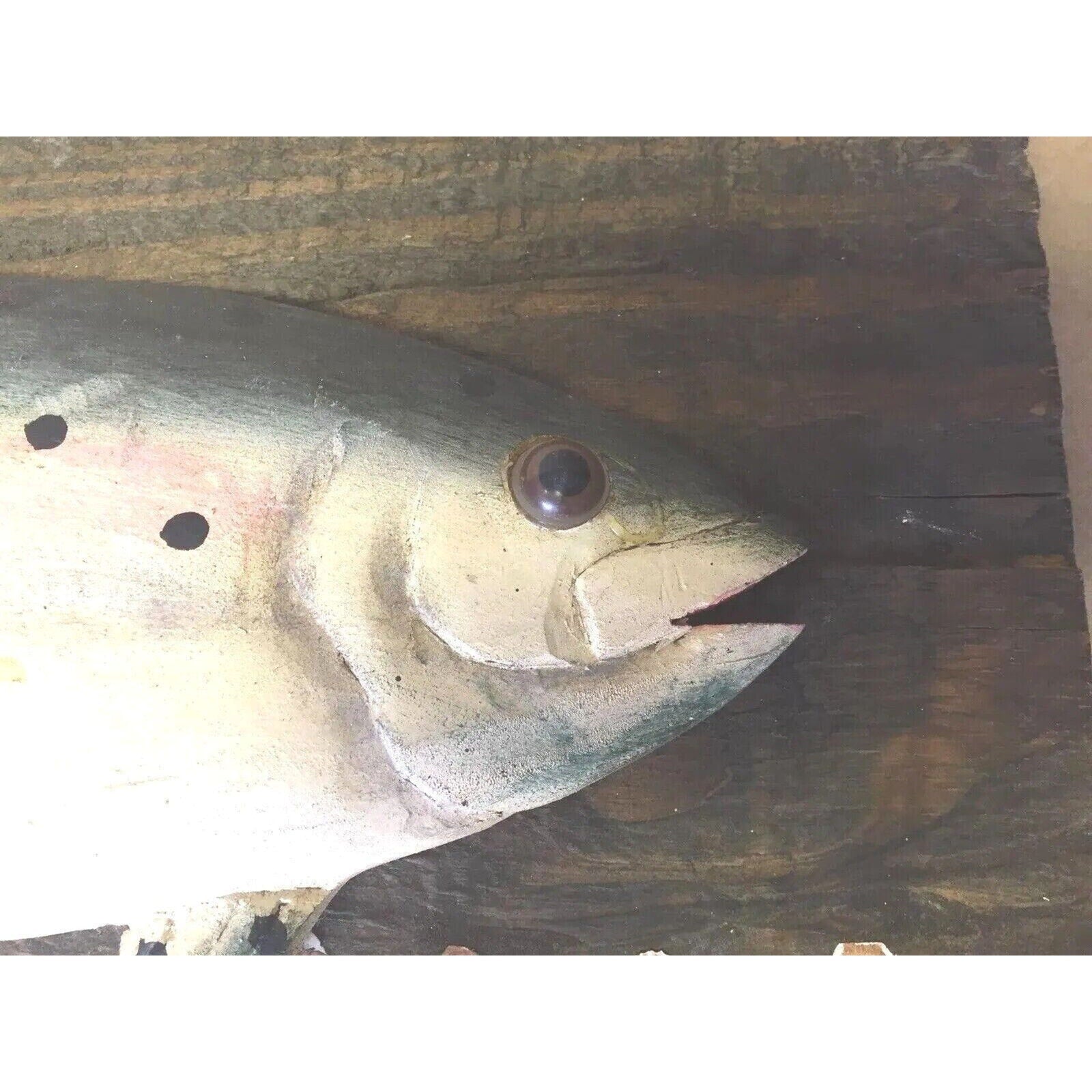 Vintage Nautical Rainbow Trout Fish Wall Hanging Art Handmade Wood Carved Art
