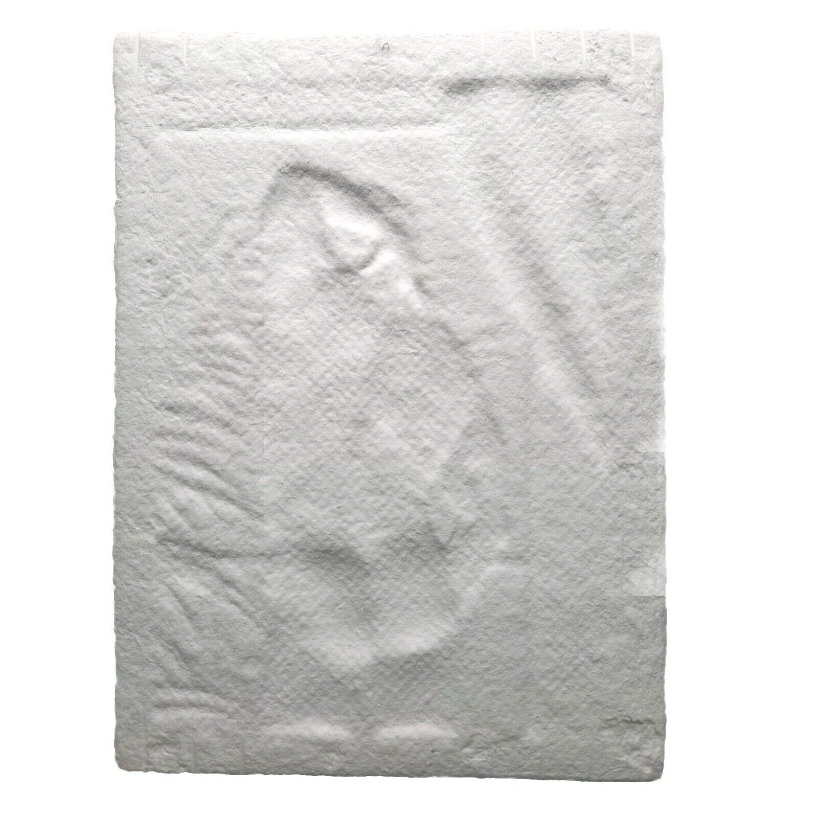 Bauer Cast Paper Relief Sculpture Hand Signed Man Portrait Act Artwork 358/1000
