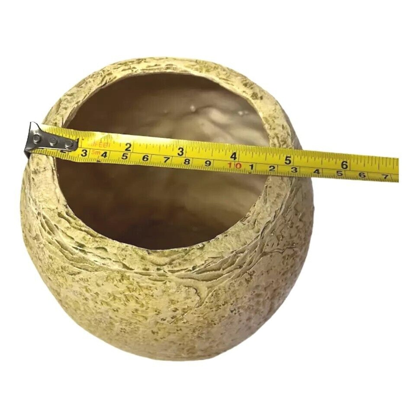 Large Ceramic Vase with Resin Bottom, Hyacinth Flower Bulbs Beige 1"H x 5"W