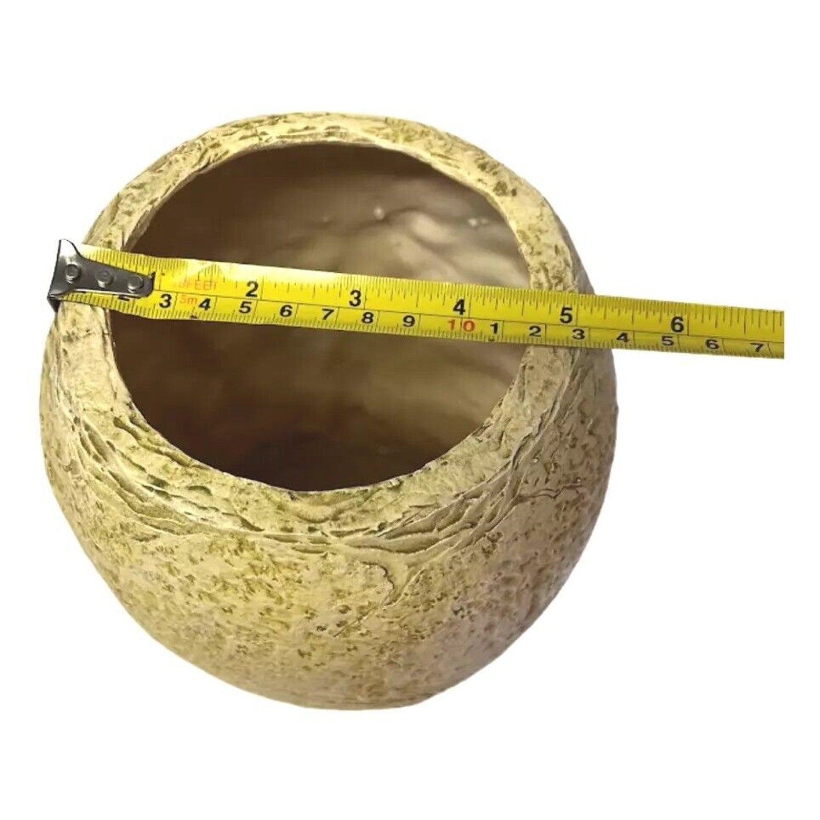 Large Ceramic Vase with Resin Bottom, Hyacinth Flower Bulbs Beige 1"H x 5"W