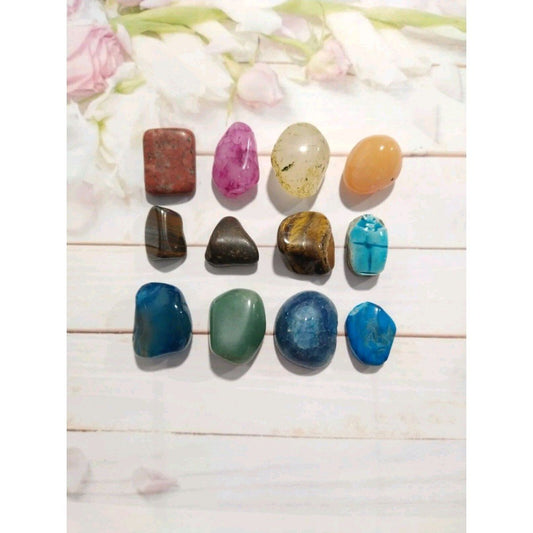 Mixed Lot 12 Semi Precious Raw Stones Tiger Eye Turquoise Beetle Colorful